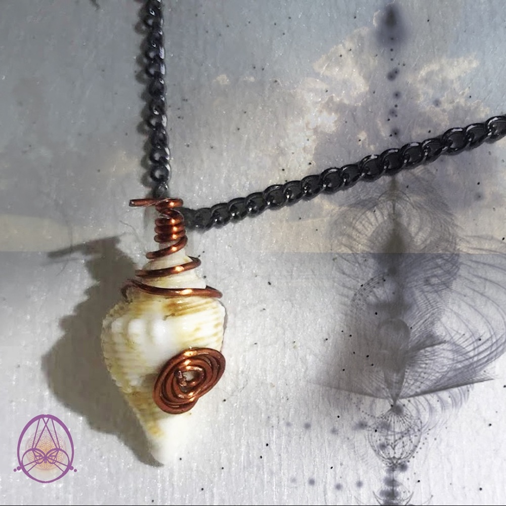 Mini Creamsicle Drill Shell Necklace